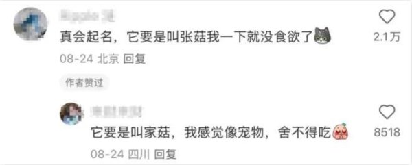 体育游戏app平台是一种在河流入海口用石头围起来的堤坝-开云app下载ky官方网站入口登录