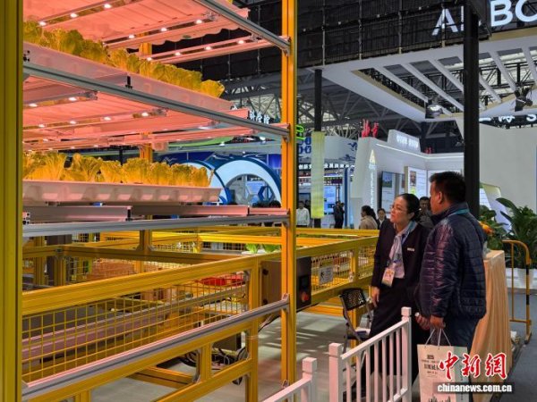 开云体育(中国)官方网站展会收入比旧年增长20%以上-开云app下载ky官方网站入口登录