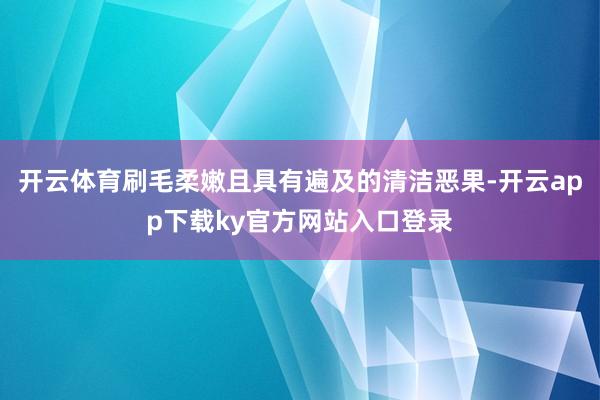 开云体育刷毛柔嫩且具有遍及的清洁恶果-开云app下载ky官方网站入口登录