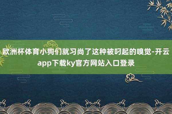 欧洲杯体育小狗们就习尚了这种被叼起的嗅觉-开云app下载ky官方网站入口登录
