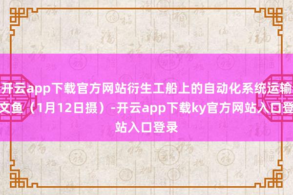 开云app下载官方网站衍生工船上的自动化系统运输三文鱼（1月12日摄）-开云app下载ky官方网站入口登录