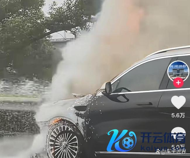疑似问界M9高速动怒 原因尚在打听中